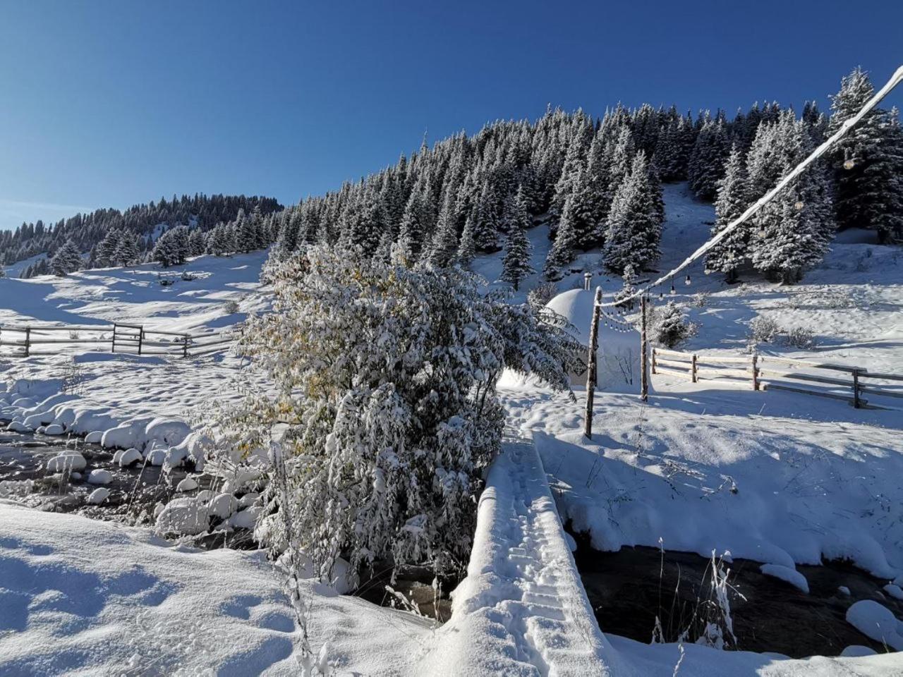 Mine Hostel Dzhergalan Jyrgalan Esterno foto